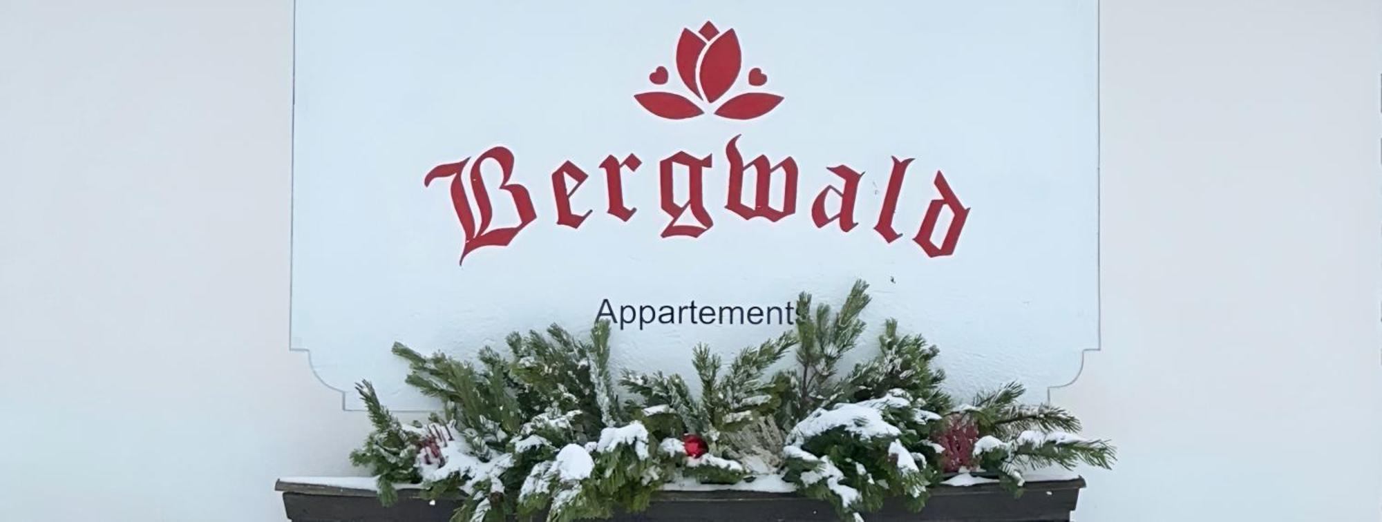 Bergwald Appartements Alpbach Kültér fotó
